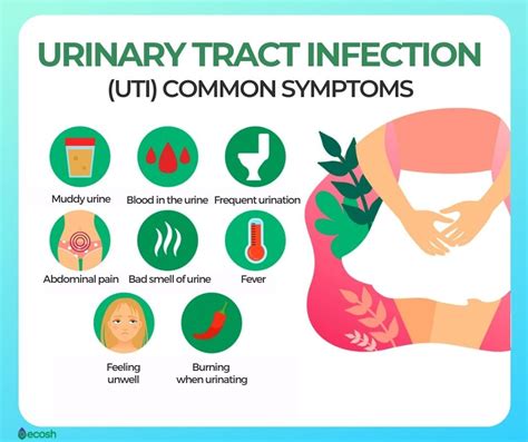 are uti symptoms similar to pregnancy symptoms